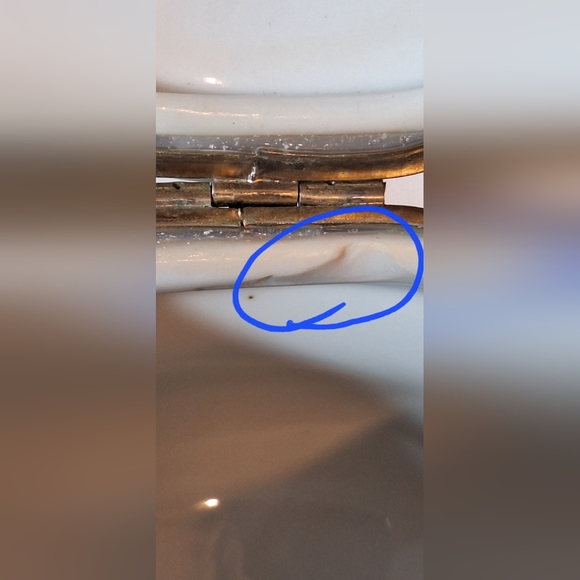 🥀RS PRUSSIAN porcelain powder jar - Picture 8 of 8